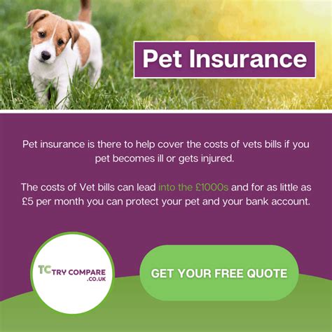 Find & compare pet.